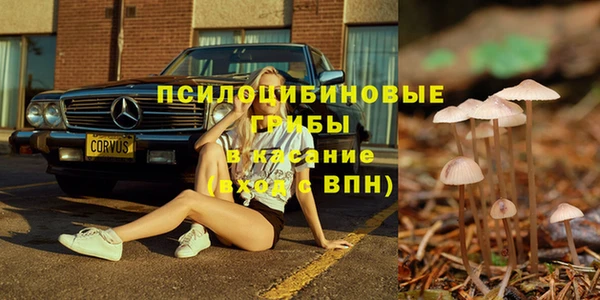 MDMA Premium VHQ Инта