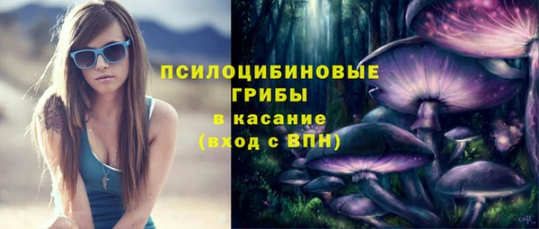гидропоника Инсар