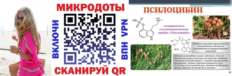 закладка  Брянск  Псилоцибиновые грибы мухоморы 