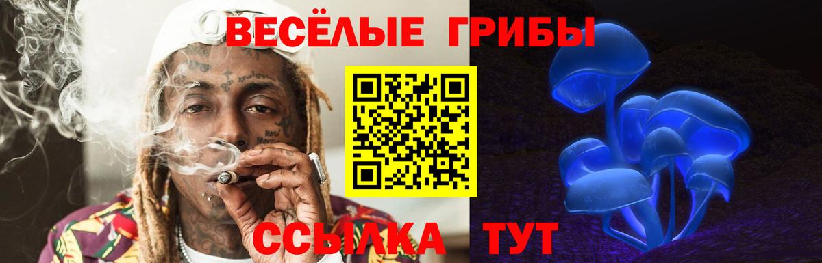 Брянск  купить  цена  Вход с VPN  Галлюциногенные грибы прущие грибы 